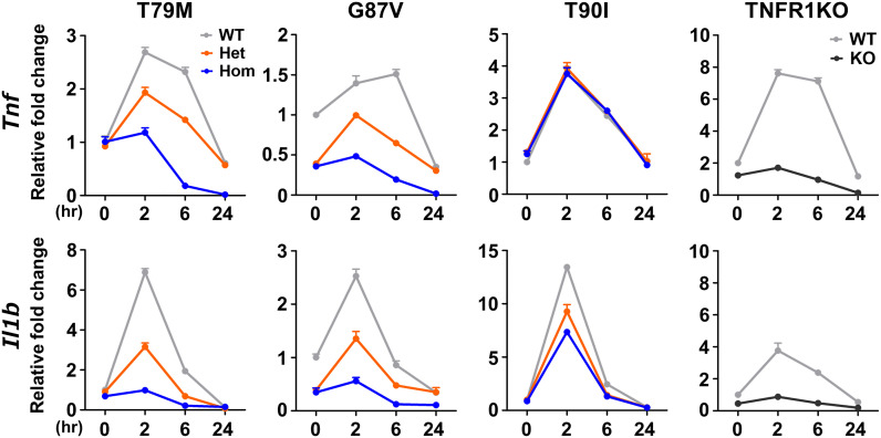 Figure 5