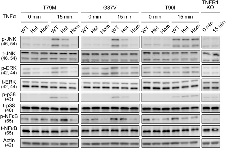 Figure 6