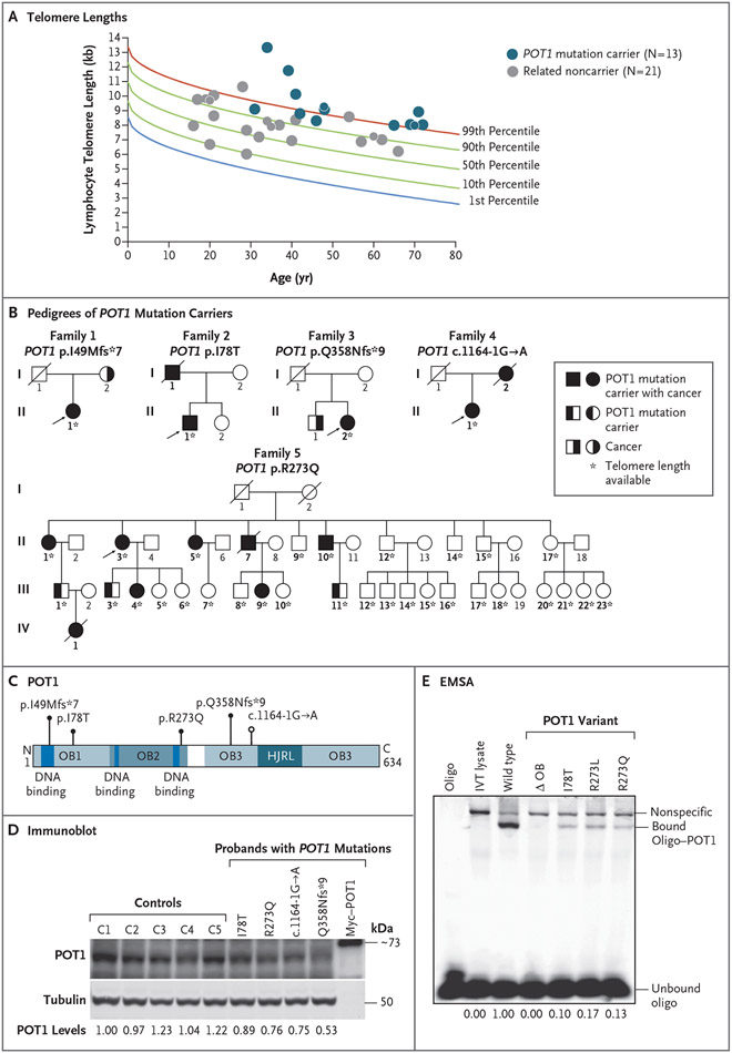 Figure 1 (facing page).