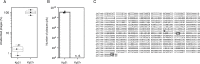 Fig 7