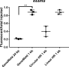 Figure 3—figure supplement 2.