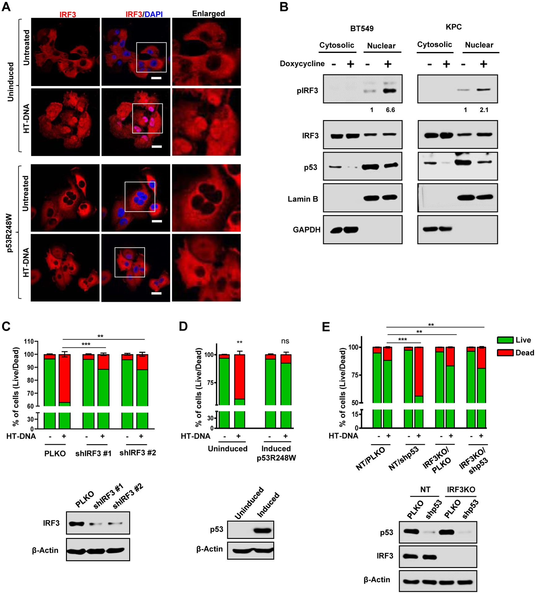 Figure 2: