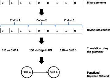 Fig. 1