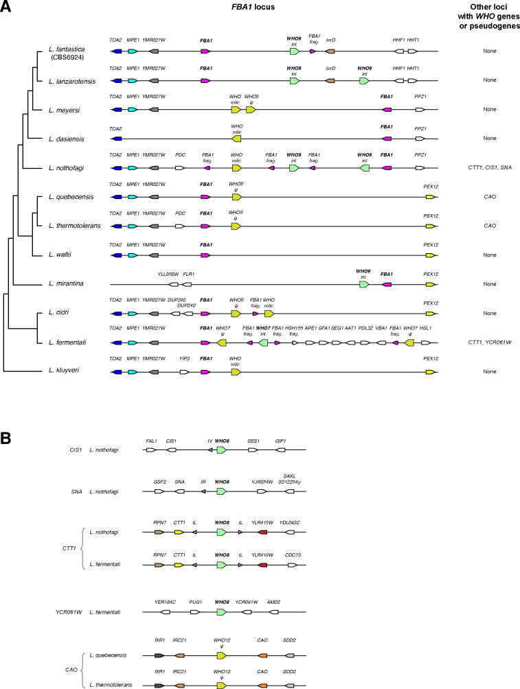 Figure 1—figure supplement 1.