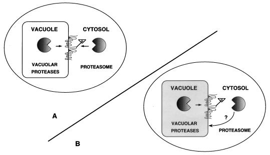 FIG. 8