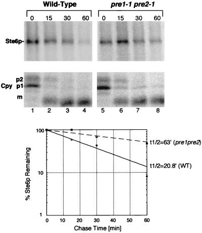 FIG. 7