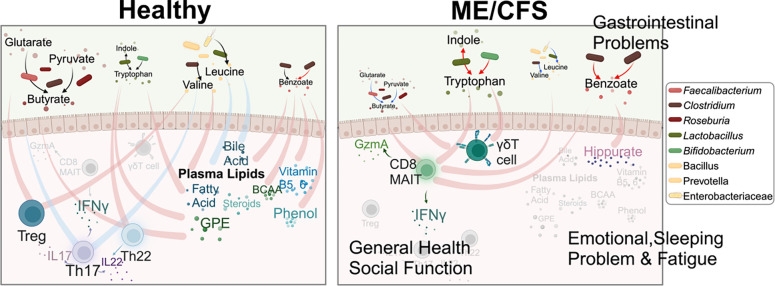 Figure 5: