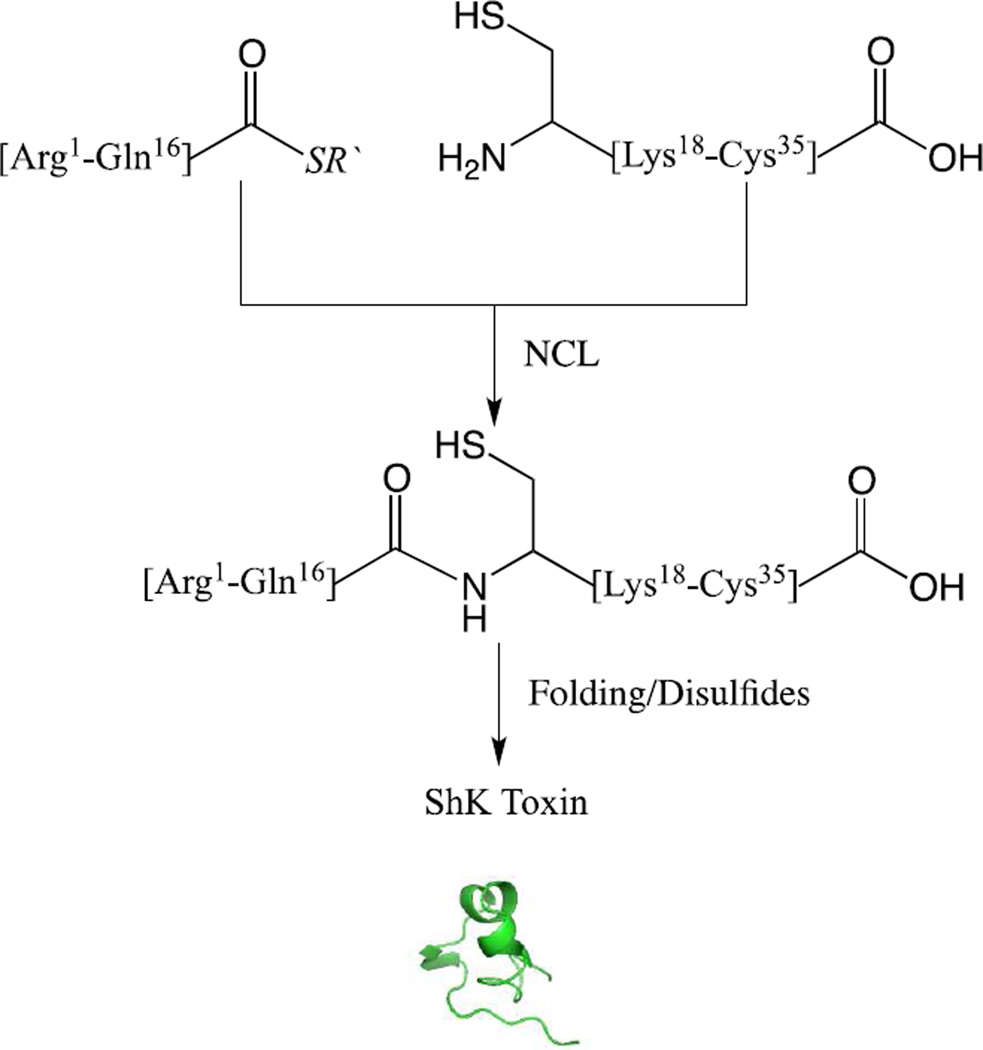 Scheme 3