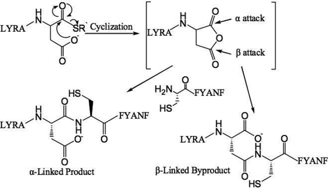 Scheme 2