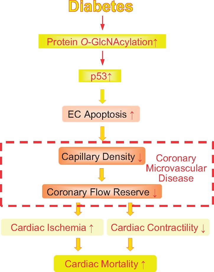 Graphical Abstract