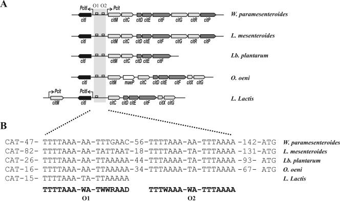 FIG. 6.