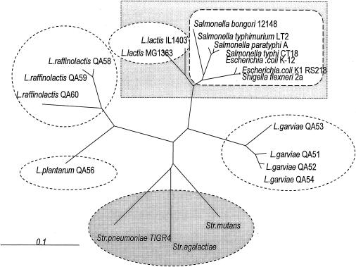 FIG. 1.