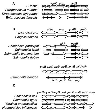 FIG. 2.