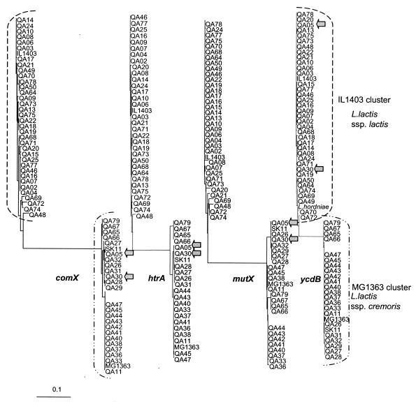 FIG. 4.