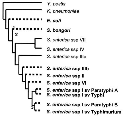 FIG. 3.