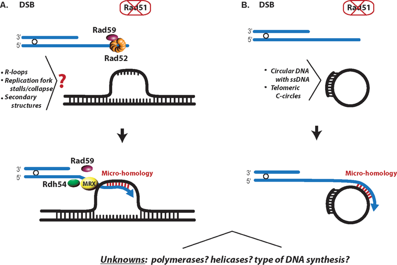 Figure 4: