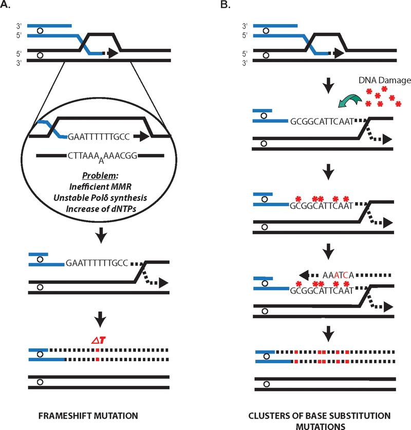 Figure 2: