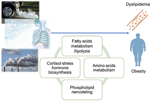 graphic file with name nihms-1893079-f0001.jpg