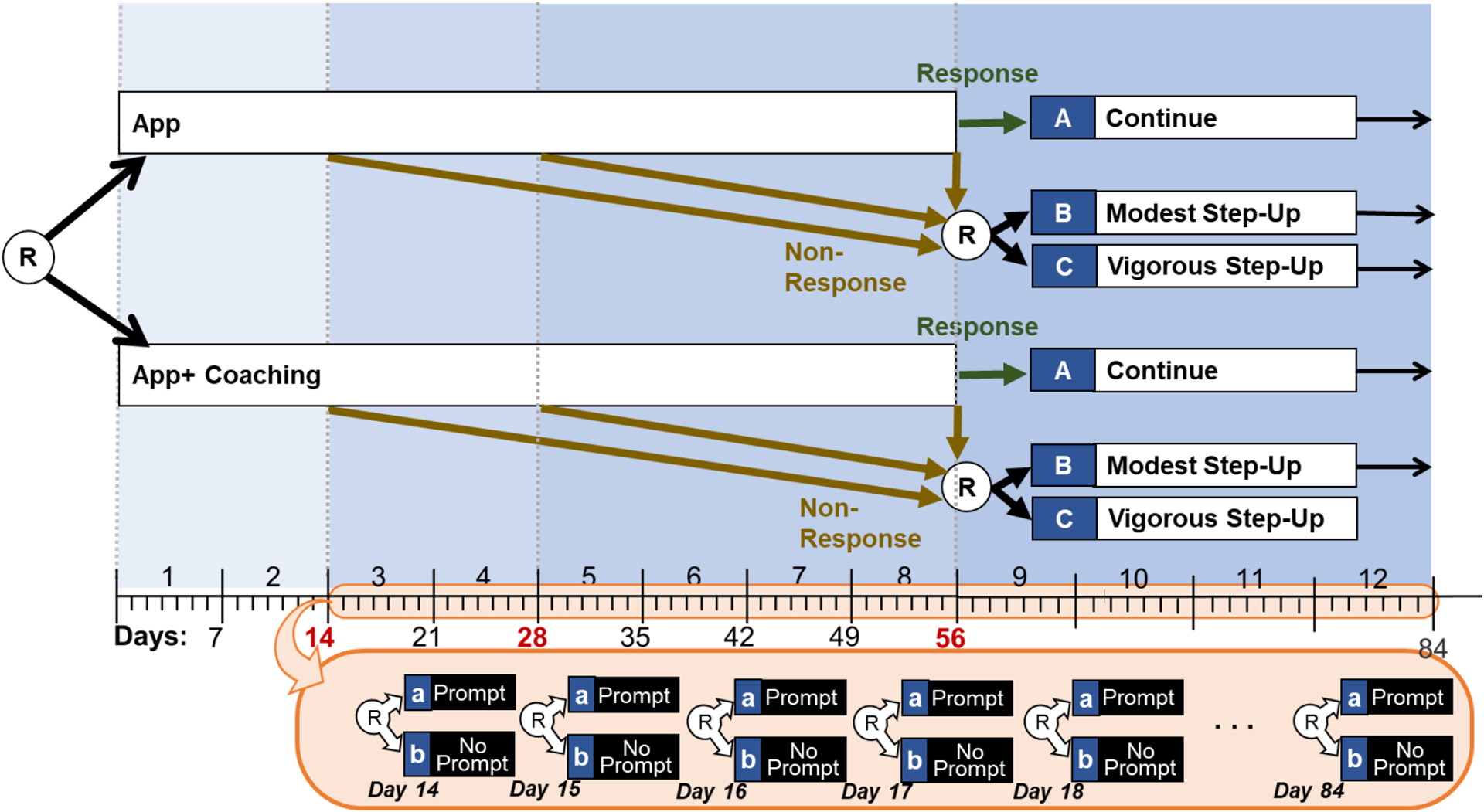 Figure 4: