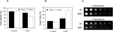 FIG. 7.