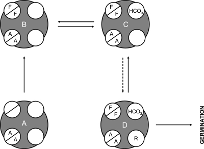 FIG. 7.