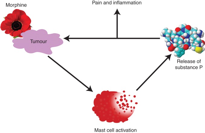 Fig 6