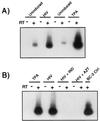 FIG. 7