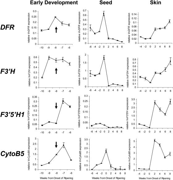 Figure 5.