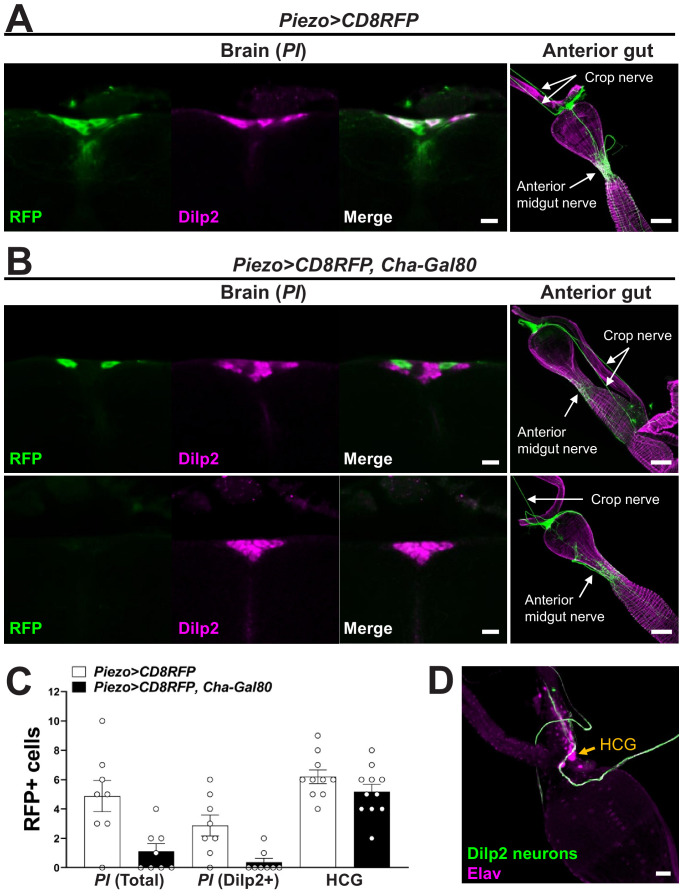 Figure 2—figure supplement 3.