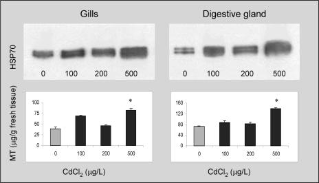 Fig 4.