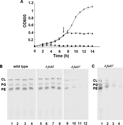 FIG. 6.