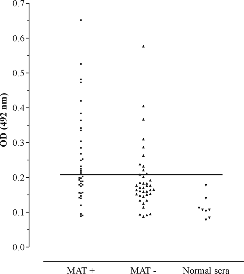 Fig. 8.