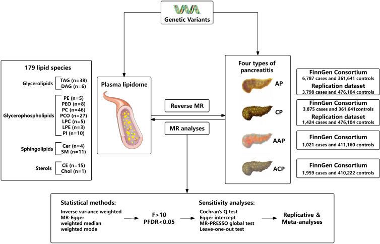 Figure 1