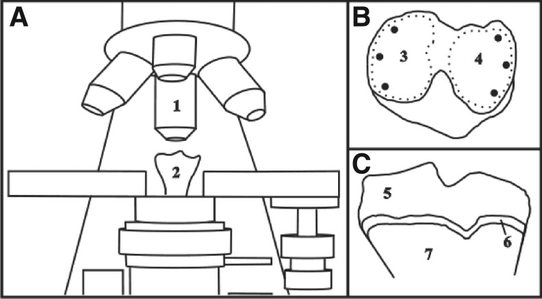 FIG. 1.