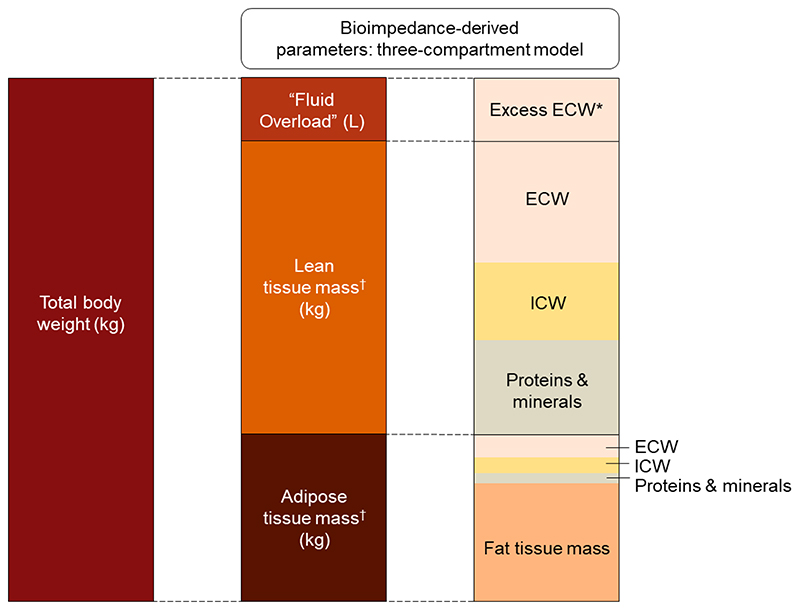 Effects of Empagliflozin on Fluid Overload, Weight and Blood Pressure ...