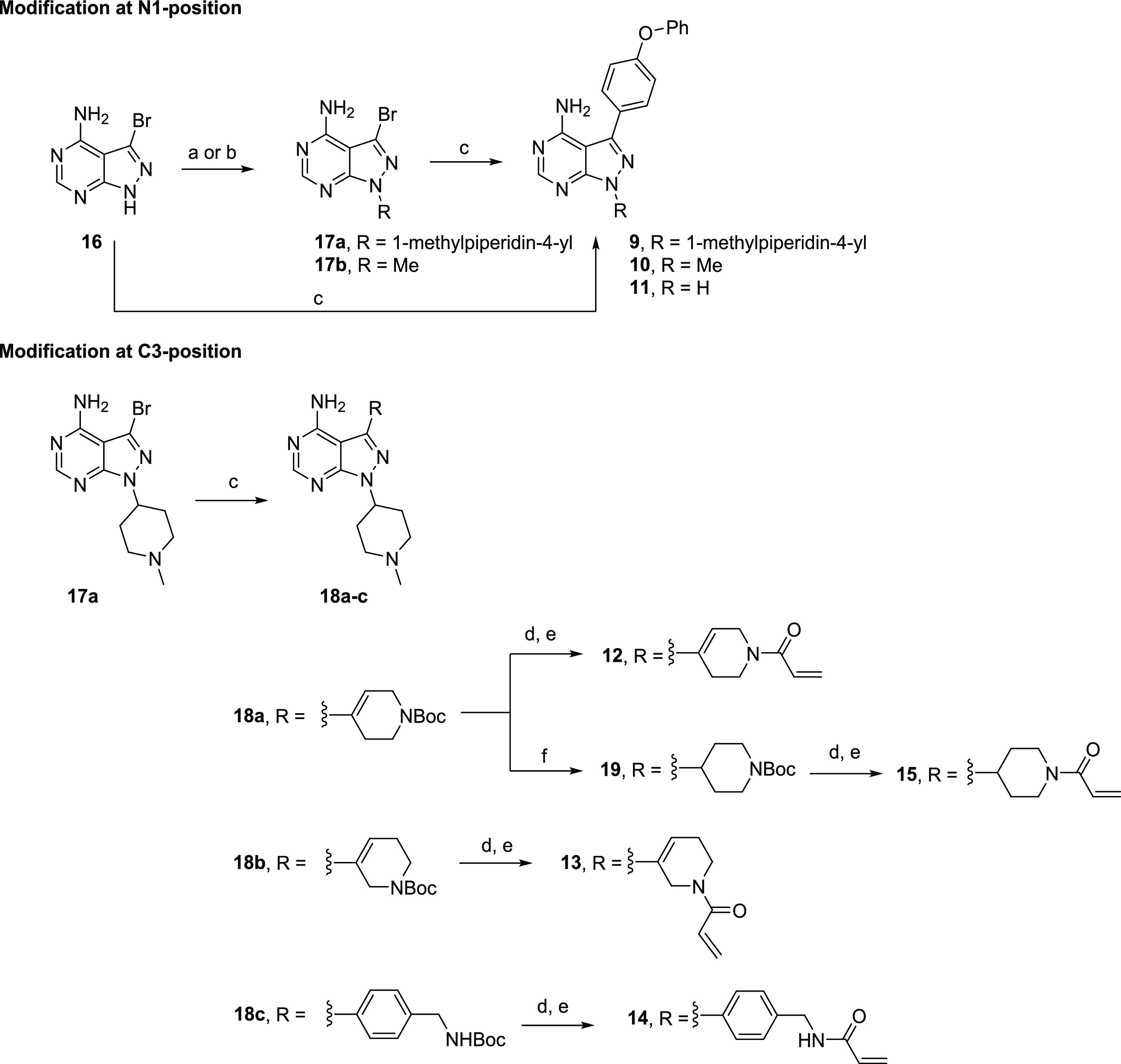 Scheme 1