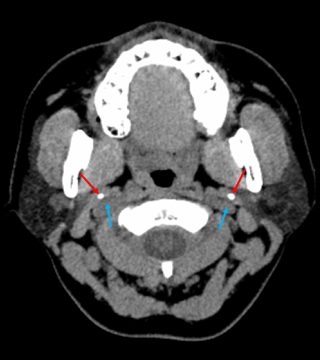 Figure 5.