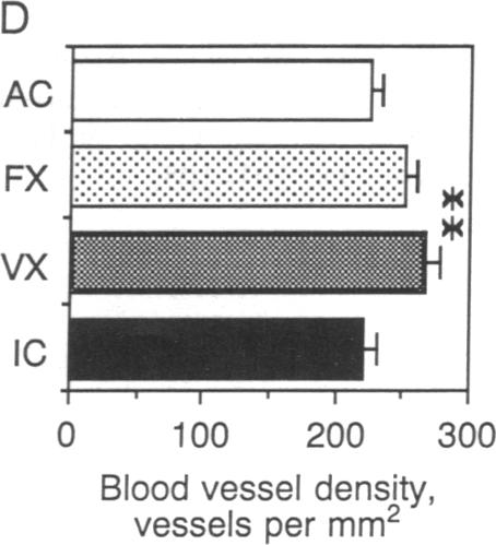 graphic file with name pnas01039-0347-c.jpg