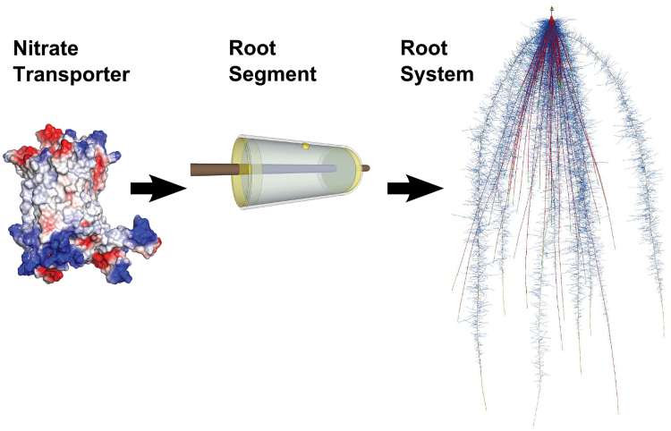 Fig. 1.