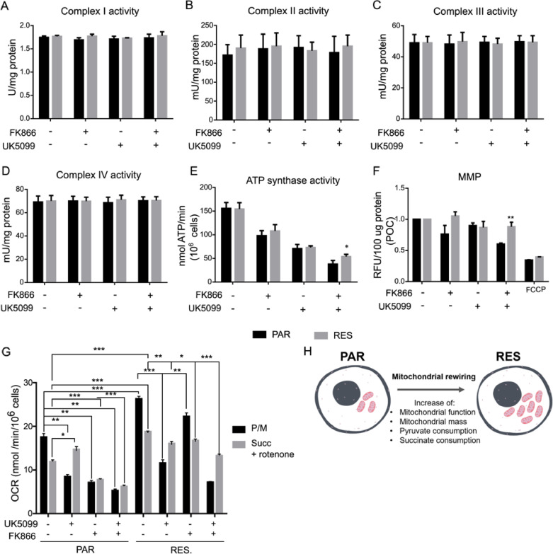 Fig 6: