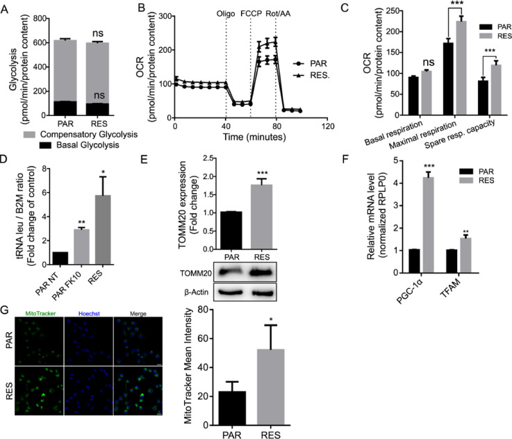 Fig 3: