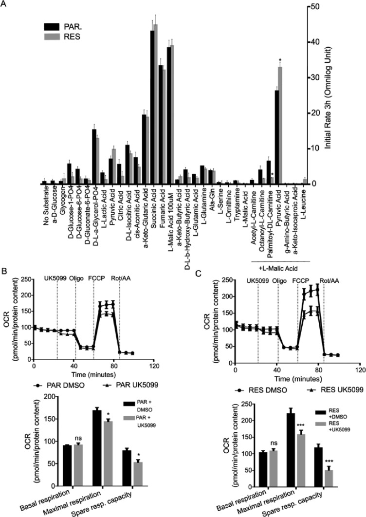 Fig 4: