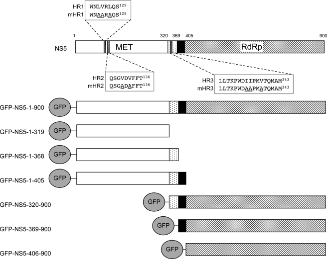 FIGURE 1.