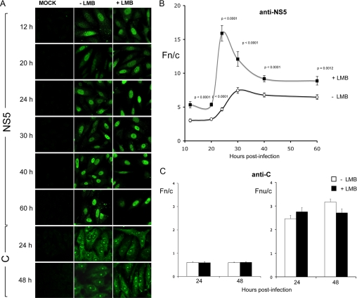 FIGURE 5.