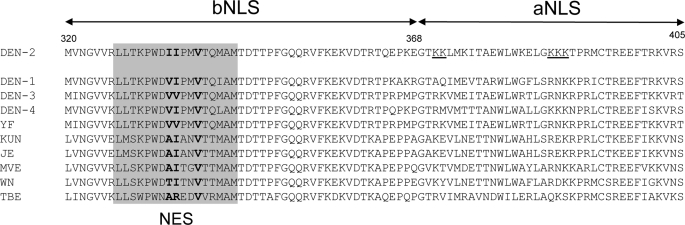 FIGURE 7.