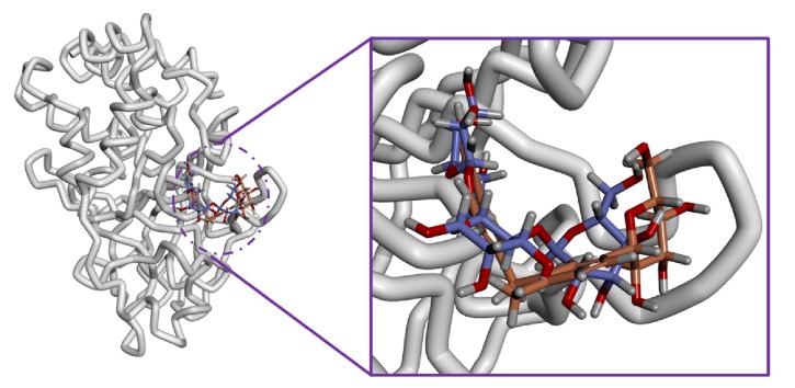 Figure 11