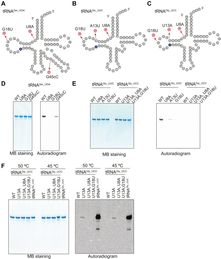 Figure 7