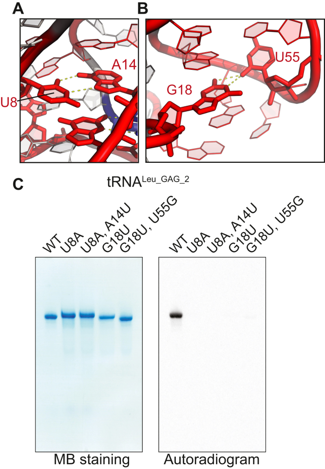 Figure 6