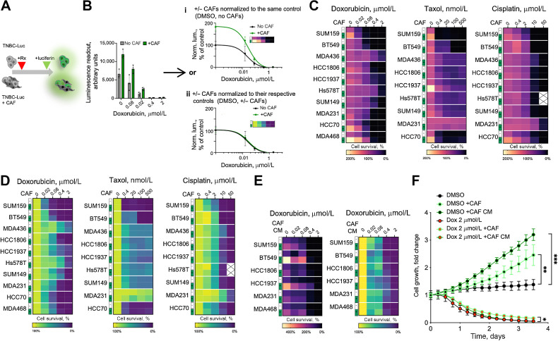 Figure 1. CAFs facilitate TNBC proliferation in vitro. A, Experiment diagram for the chemosensitivity sensitivity assay. Luciferase-labeled TNBC cells were cultured in the presence or absence of unlabeled CAFs in the presence of doxorubicin or DMSO vehicle control. Only TNBC cells directly contribute to the viability signal. B, Normalization schemata for the data analyses. Raw data from the viability assay can be normalized to either the DMSO control signal of cells cultured without CAFs (i), or with separate normalization of the control and CAF cocultures to their respective DMSO controls (ii). C and D, Heat map summaries of the impact of CAF cocultures on the sensitivity of the indicated chemotherapeutic agent in a panel of TNBC cell lines, normalized as i or ii in B, respectively. E, Heat map summaries of the impact of CAF CM on doxorubicin sensitivities of the indicated TNBC cell lines. F, Impact of CAFs and CAF CM on the growth of GFP-labeled MDA468 cells following 24 hours of doxorubicin exposure, measured by time-lapse microscopy. Statistical analyses of indicated differences were performed with a paired two-tailed t test, comparing confluency value at each of the time point. * P = 0.0102; **, P = 0.003; ***, P = 0.0007.