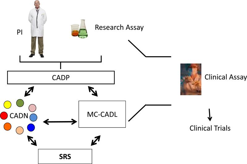 Fig 2